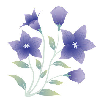 桔梗会広報２０２５