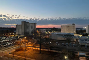 留学プログラム